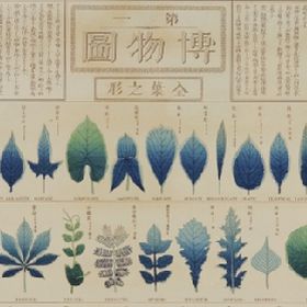 Chart of plants 1