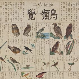 博物図動物２鳥類一覧