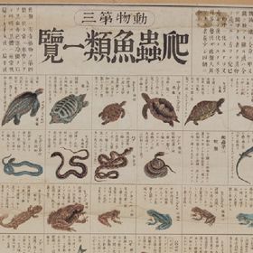 博物図動物３爬虫魚類一覧