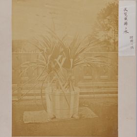 003.jp2