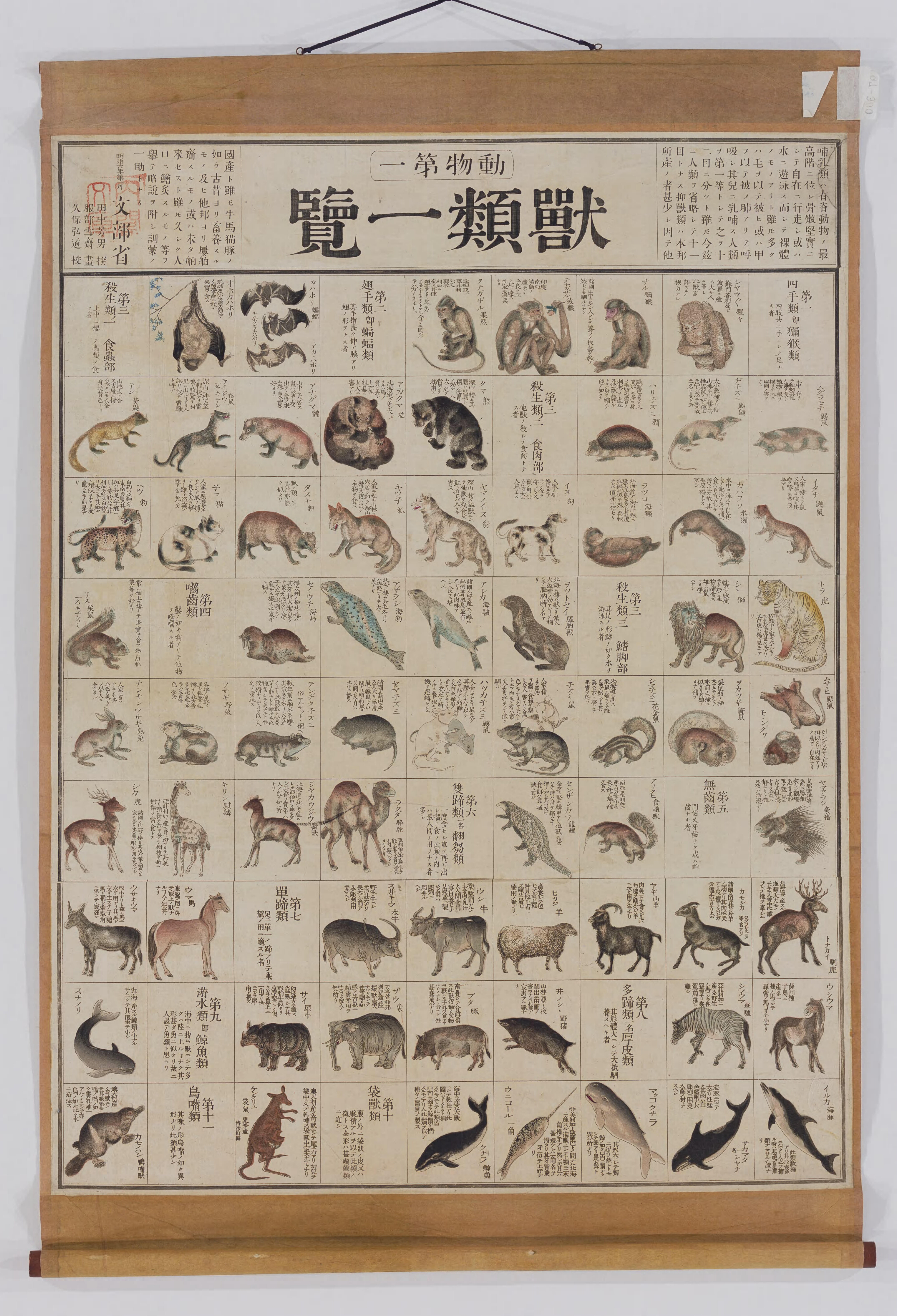 博物図動物1獣類一覧